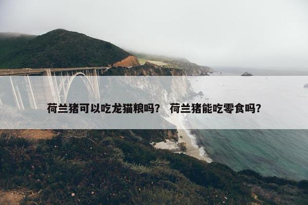 荷兰猪可以吃龙猫粮吗？ 荷兰猪能吃零食吗？