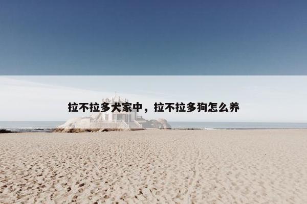 拉不拉多犬家中，拉不拉多狗怎么养