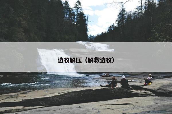 边牧解压（解救边牧）