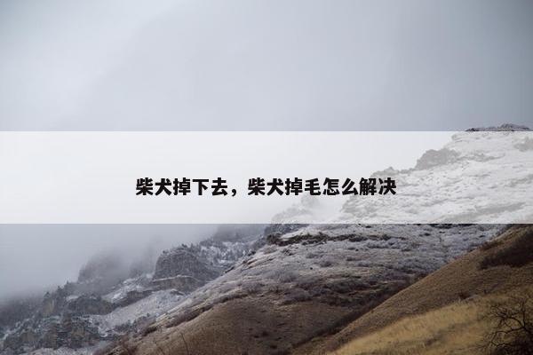 柴犬掉下去，柴犬掉毛怎么解决