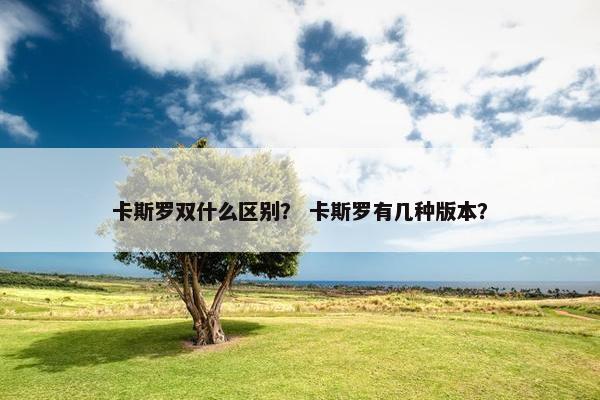 卡斯罗双什么区别？ 卡斯罗有几种版本？