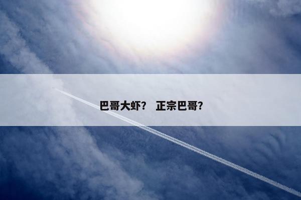 巴哥大虾？ 正宗巴哥？
