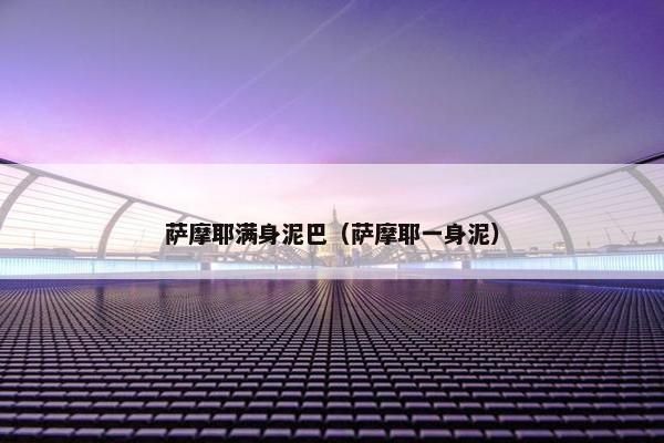 萨摩耶满身泥巴（萨摩耶一身泥）