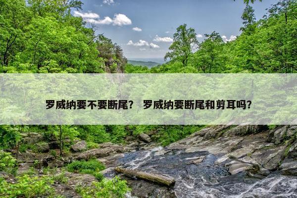 罗威纳要不要断尾？ 罗威纳要断尾和剪耳吗？