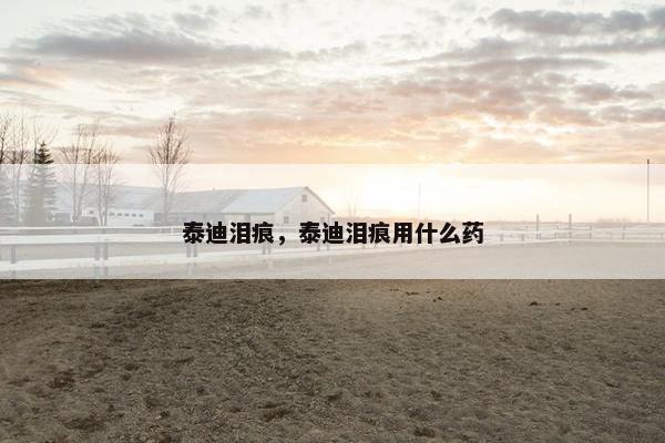 泰迪泪痕，泰迪泪痕用什么药