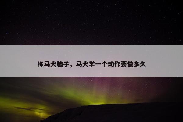 练马犬脑子，马犬学一个动作要做多久