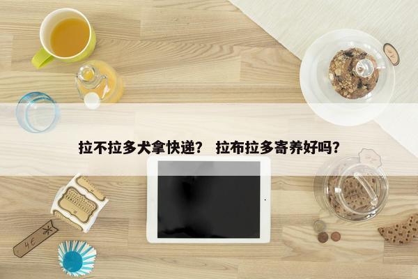 拉不拉多犬拿快递？ 拉布拉多寄养好吗？