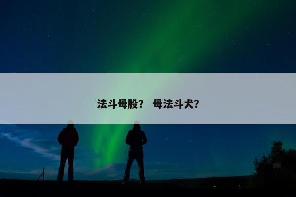 法斗母股？ 母法斗犬？