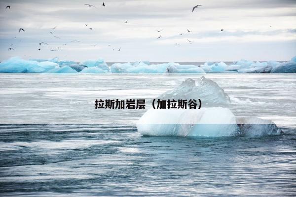 拉斯加岩层（加拉斯谷）
