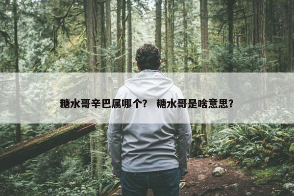 糖水哥辛巴属哪个？ 糖水哥是啥意思？