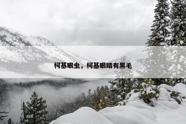 柯基眼虫，柯基眼睛有黑毛