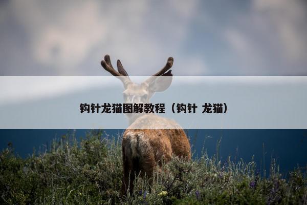 钩针龙猫图解教程（钩针 龙猫）