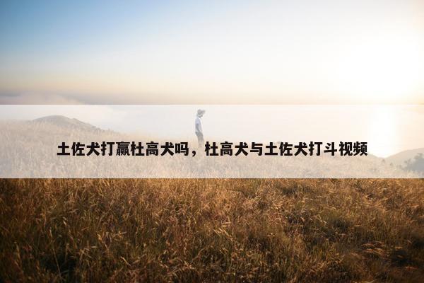 土佐犬打赢杜高犬吗，杜高犬与土佐犬打斗视频