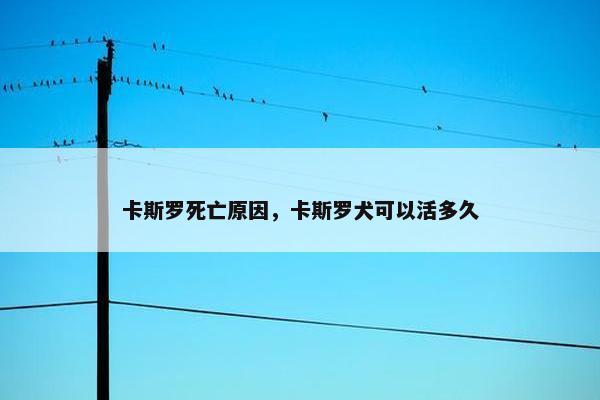 卡斯罗死亡原因，卡斯罗犬可以活多久