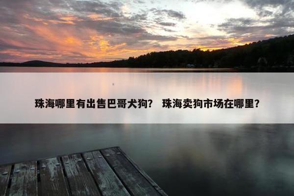 珠海哪里有出售巴哥犬狗？ 珠海卖狗市场在哪里？