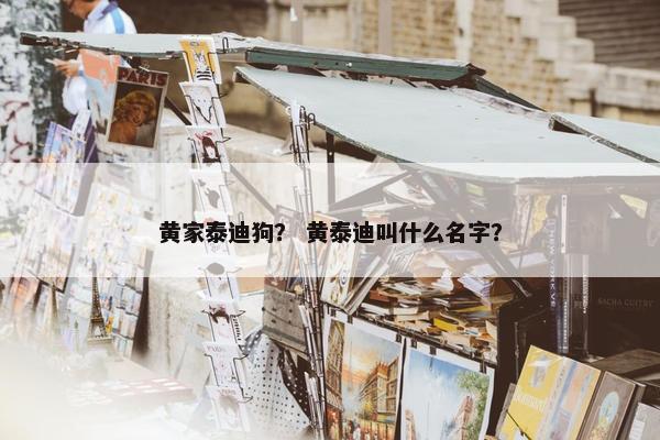 黄家泰迪狗？ 黄泰迪叫什么名字？