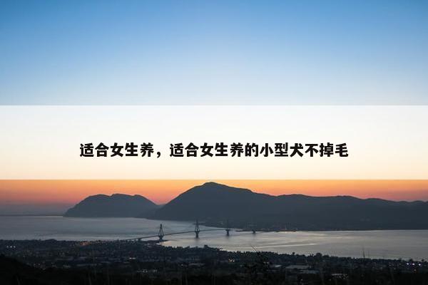 适合女生养，适合女生养的小型犬不掉毛