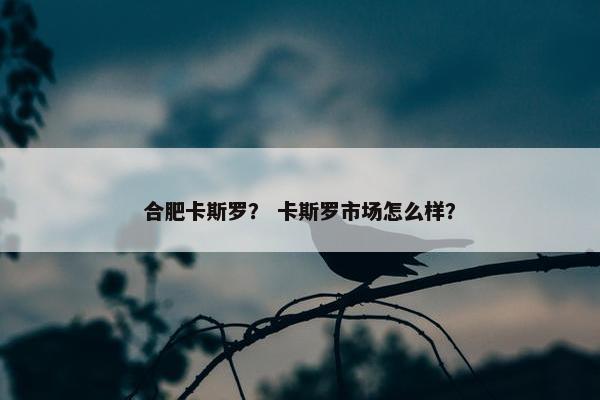合肥卡斯罗？ 卡斯罗市场怎么样？