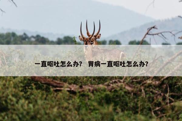 一直呕吐怎么办？ 胃病一直呕吐怎么办？