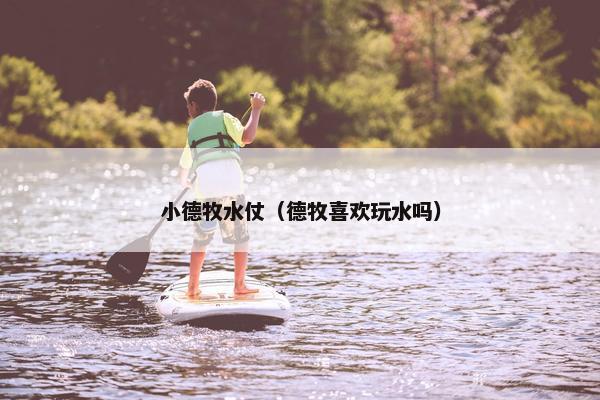 小德牧水仗（德牧喜欢玩水吗）
