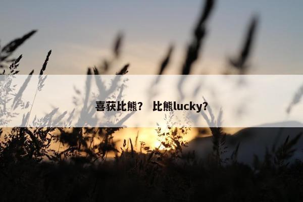 喜获比熊？ 比熊lucky？