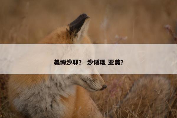 美博沙耶？ 沙博理 亚美？