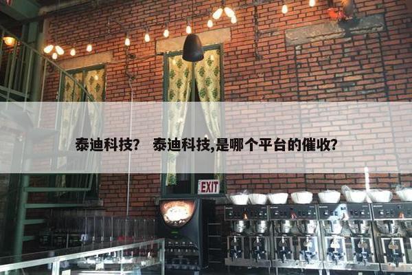 泰迪科技？ 泰迪科技,是哪个平台的催收？