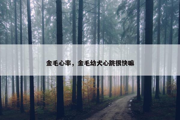 金毛心率，金毛幼犬心跳很快嘛