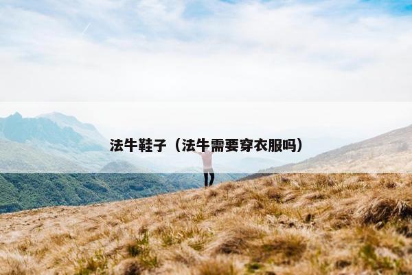 法牛鞋子（法牛需要穿衣服吗）