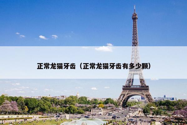 正常龙猫牙齿（正常龙猫牙齿有多少颗）