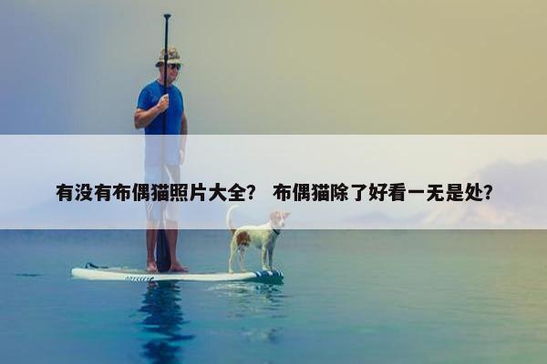 有没有布偶猫照片大全？ 布偶猫除了好看一无是处？