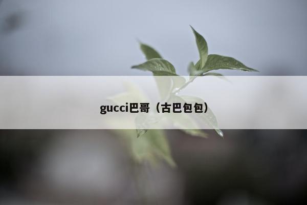 gucci巴哥（古巴包包）