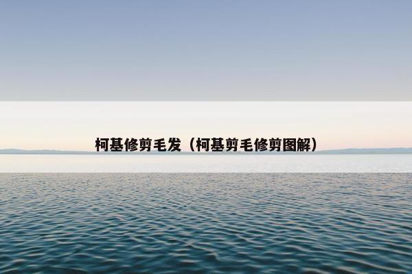 柯基修剪毛发（柯基剪毛修剪图解）