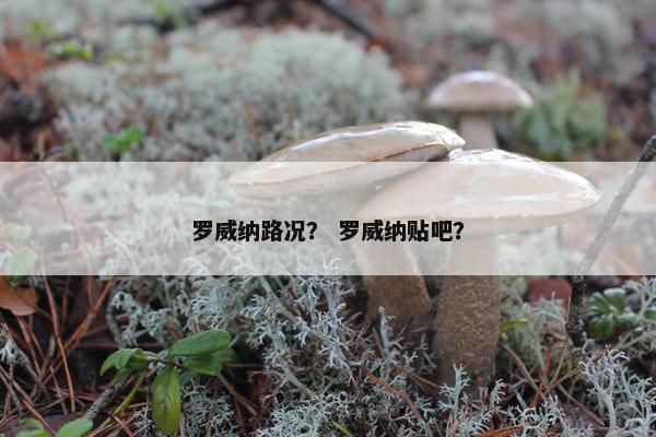 罗威纳路况？ 罗威纳贴吧？