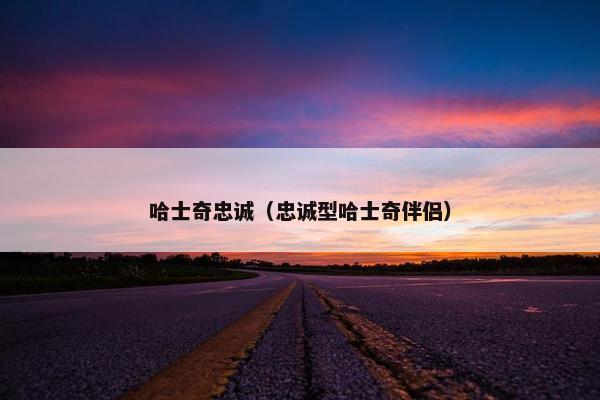 哈士奇忠诚（忠诚型哈士奇伴侣）