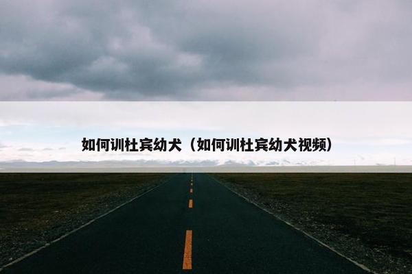 如何训杜宾幼犬（如何训杜宾幼犬视频）