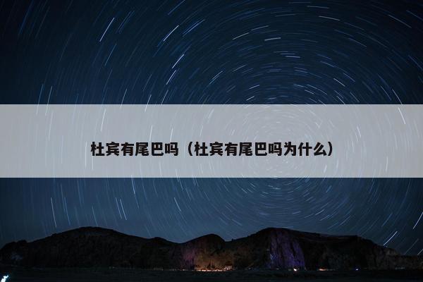 杜宾有尾巴吗（杜宾有尾巴吗为什么）