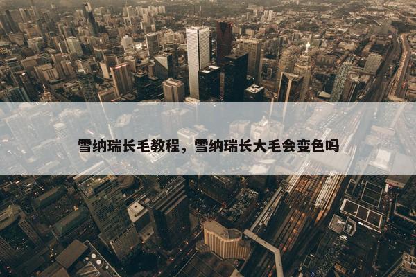 雪纳瑞长毛教程，雪纳瑞长大毛会变色吗