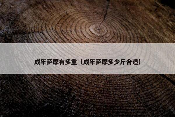 成年萨摩有多重（成年萨摩多少斤合适）