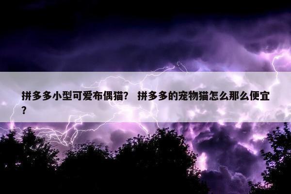 拼多多小型可爱布偶猫？ 拼多多的宠物猫怎么那么便宜？