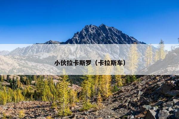 小伙拉卡斯罗（卡拉斯车）