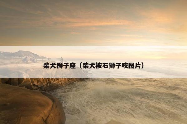 柴犬狮子座（柴犬被石狮子咬图片）