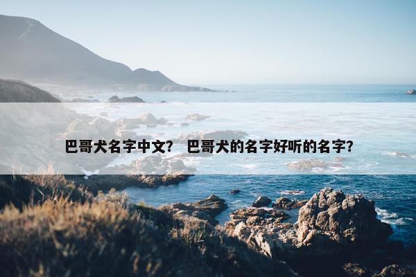 巴哥犬名字中文？ 巴哥犬的名字好听的名字？