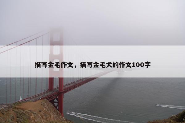 描写金毛作文，描写金毛犬的作文100字