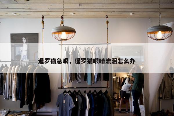 暹罗猫急眼，暹罗猫眼睛流泪怎么办