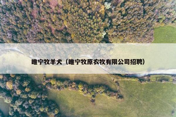 睢宁牧羊犬（睢宁牧原农牧有限公司招聘）