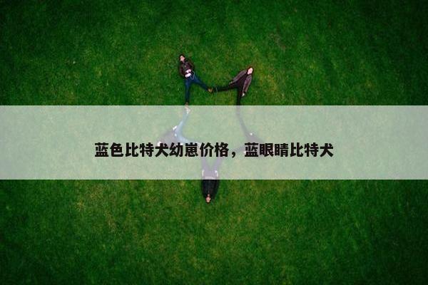 蓝色比特犬幼崽价格，蓝眼睛比特犬