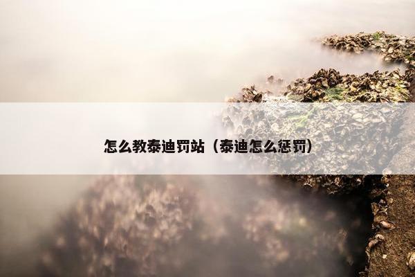 怎么教泰迪罚站（泰迪怎么惩罚）