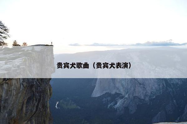 贵宾犬歌曲（贵宾犬表演）