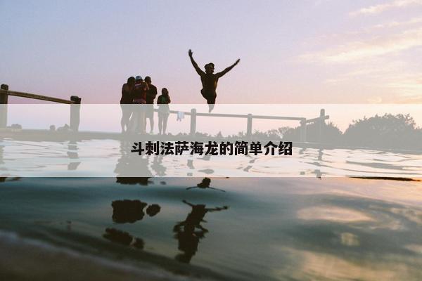 斗刺法萨海龙的简单介绍